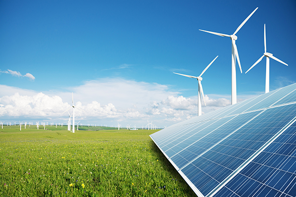 green field with many windmills