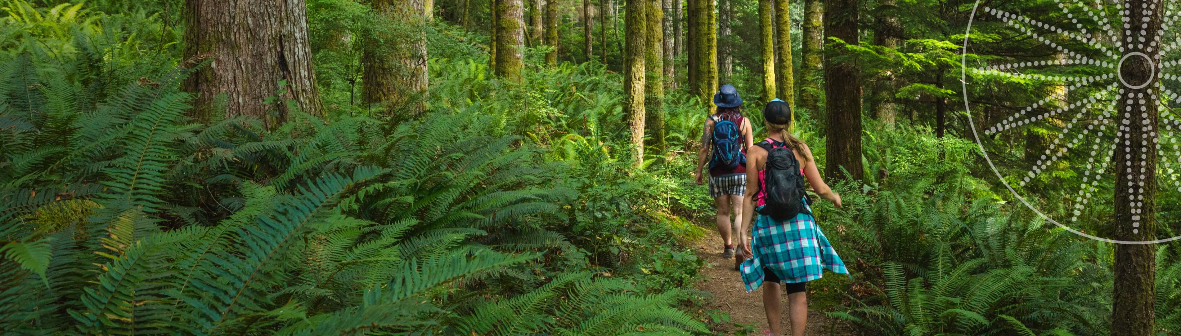 two young women walking through a green forest with their backpacks
