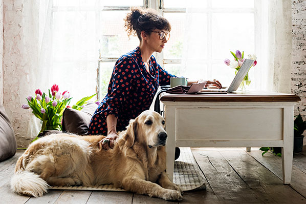 lady-sitting-with-dog-while-on-computer