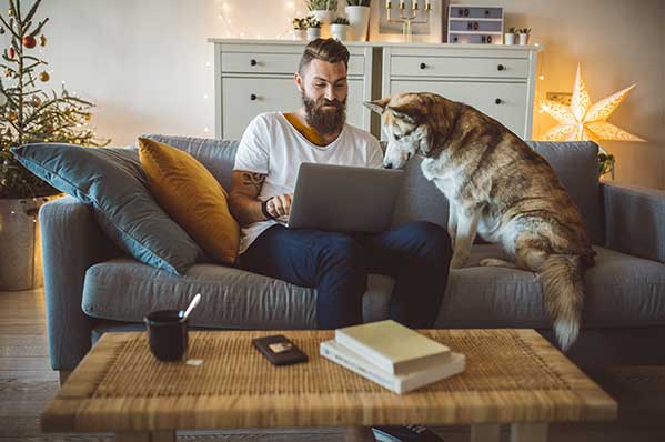 image of man sitting on the couch with his laptop and his pet dog watching over him