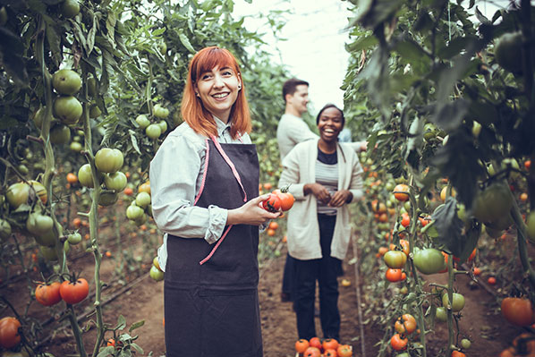 woman in tomato field smiling.jpg